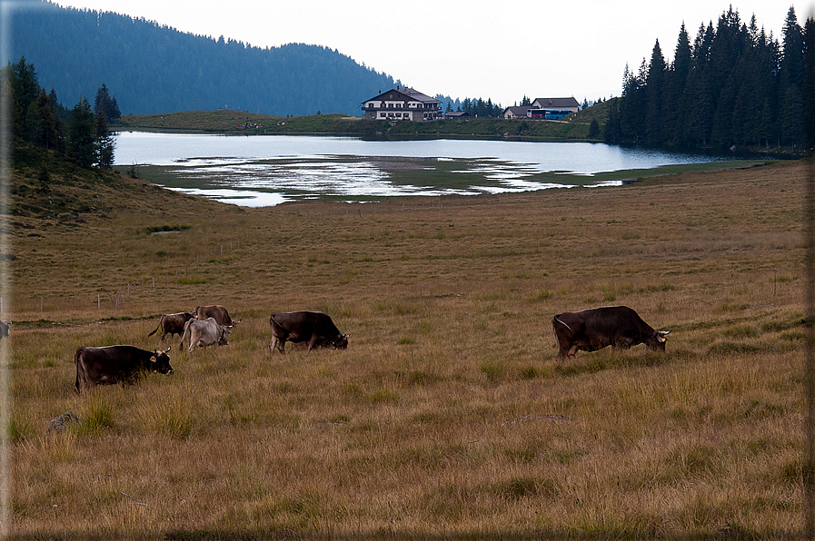 foto Lago di Calaita